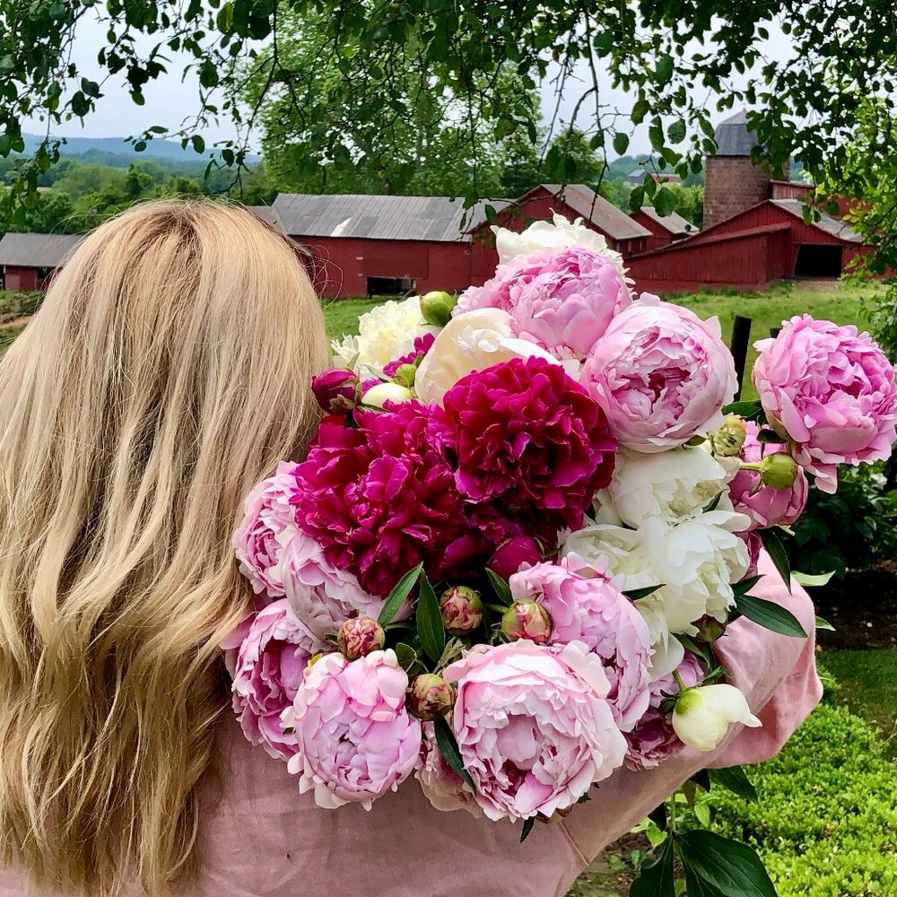 Meet your Posher, Cool Girl Chic :)